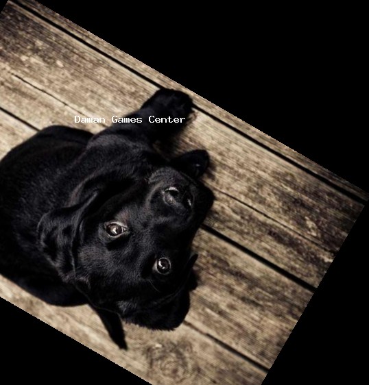 Pokémon GO gameplay in India Pokémon GO gameplay showing a trainer catching a Pokémon in an Indian street